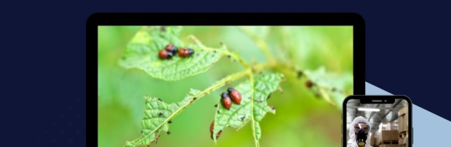 Web Design Pest Control Cover Image