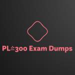 PL-300 Exam Dumps Profile Picture