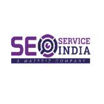 seoserviceindia20