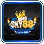 SKY88 TUBE Profile Picture