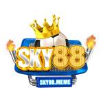 SKY88 meme