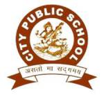 City Public School