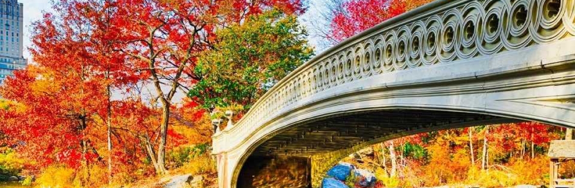 Central Park Carriage Tours Cover Image