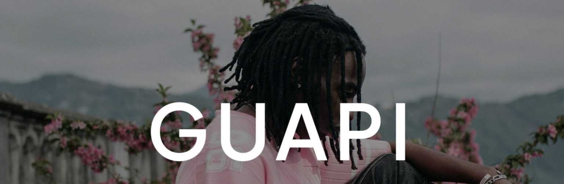 guapi clothing Cover Image