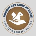 Urgent Vet Care At Home