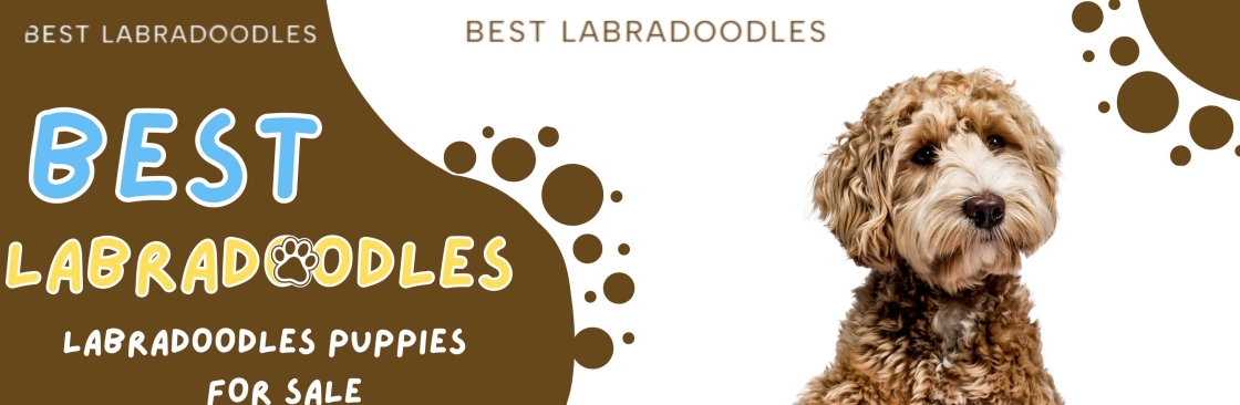 Best Labradoodles Cover Image