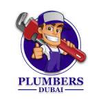 best plumber services in dubai