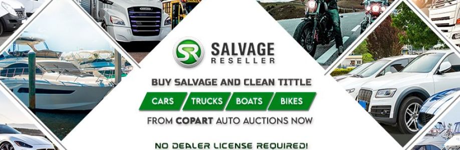 Salvage Boats Auction Cover Image