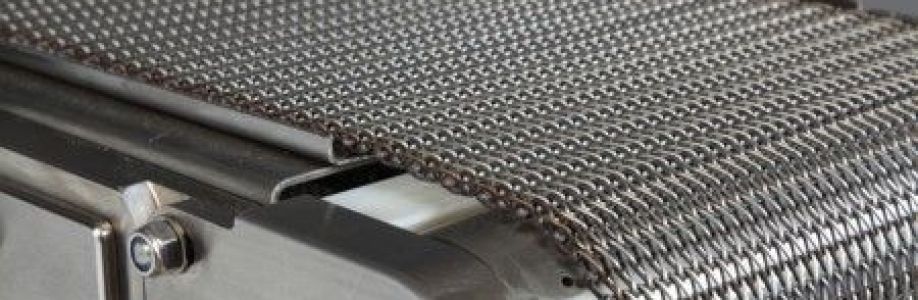 Aline Conveyors Cover Image