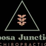 Noosa Chiropractor