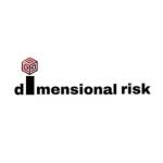 Dimensional Risk