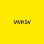 Mulligan Valley Partners