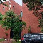dmt lahore