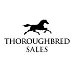 Thoroughbred Sales