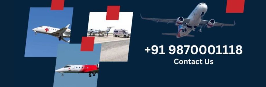 Air ambulance Cover Image