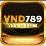 VND789 Profile Picture