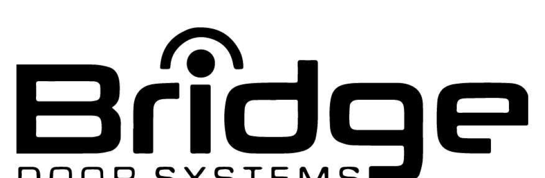 Bridge Systems Cover Image