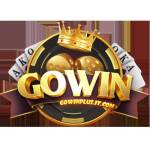 GOWIN ITCOM