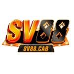 SV88 Profile Picture