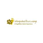 Waghoba Eco Lodge Profile Picture