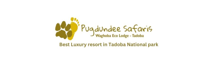 Waghoba Eco Lodge Cover Image
