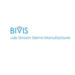 bivis lab