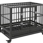 Dog Cage