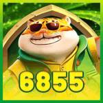 6855bet org