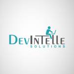 Devintelle Consulting Solutions