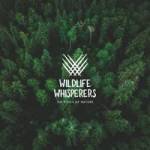 Project smiles dental