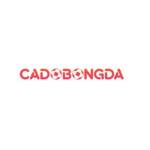 Cรก ฤแป Bรณng ฤรก Online