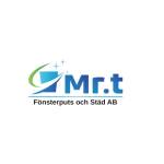 Mrt fönsterputs och städ
