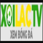 Trb-hutong.com die web