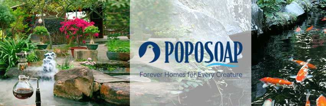 Popo soap Cover Image