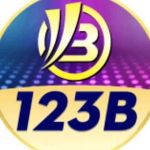 123b engineering
