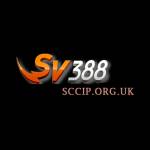 SV388 sccip Profile Picture