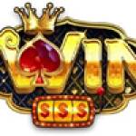 iwinvn work