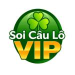 Soi cầu lô VIP