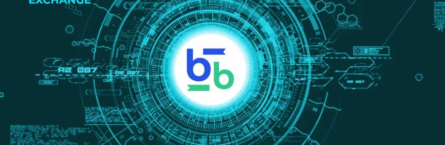 Bitbse Exchange Cover Image