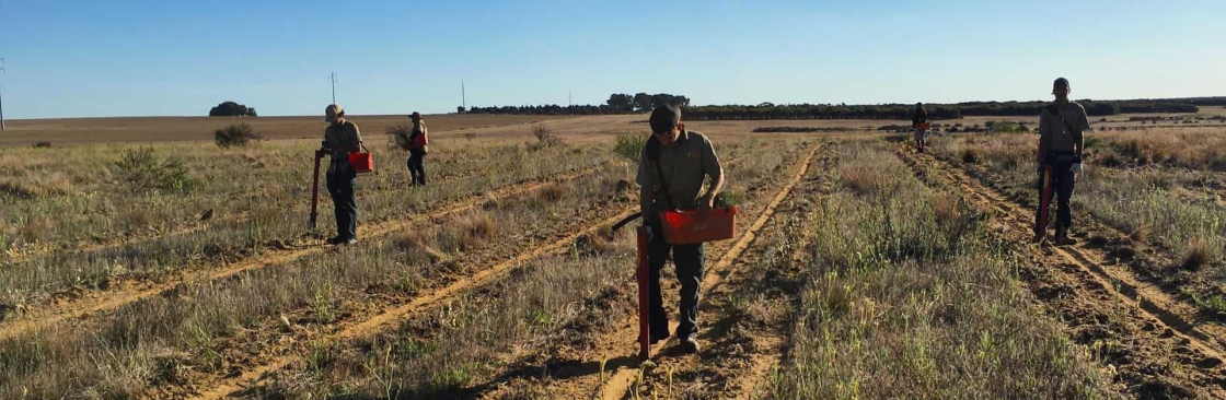 Global Land Repairing Cover Image