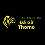 Đá Gà Trực Tiếp Thomo