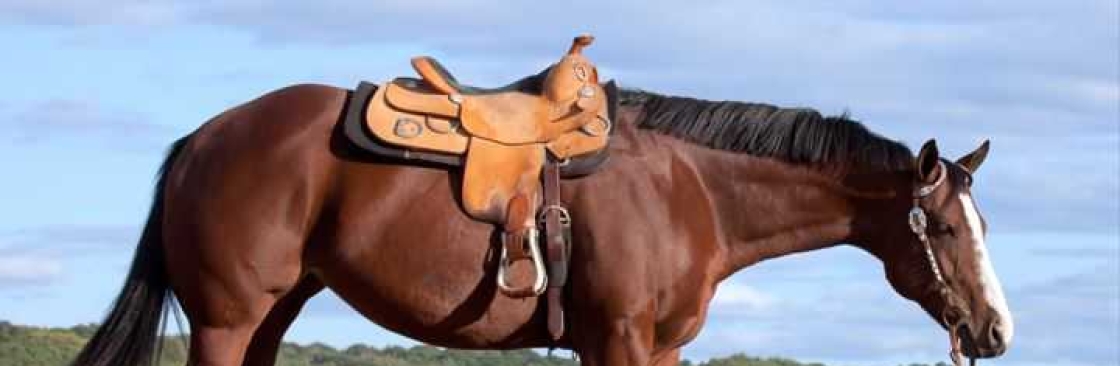 McDaniel Custom Saddles Cover Image