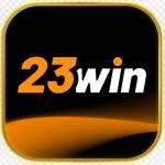 23Win Software