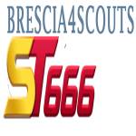 ST666 bres