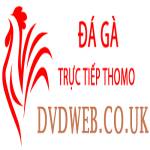 Đá Gà Trực Tiếp Thomo