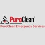 PuroClean Services