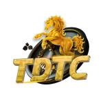 TDTC Thiên Đường Trò Chơi Profile Picture