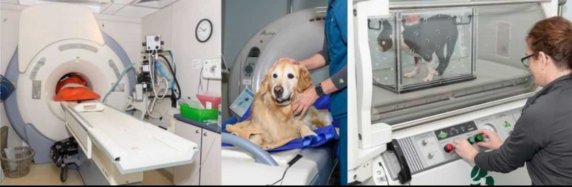 Veterinary Neurology & Imaging of the Chesapeake Cover Image