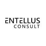 Entellus Consult