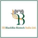 3bblack bio